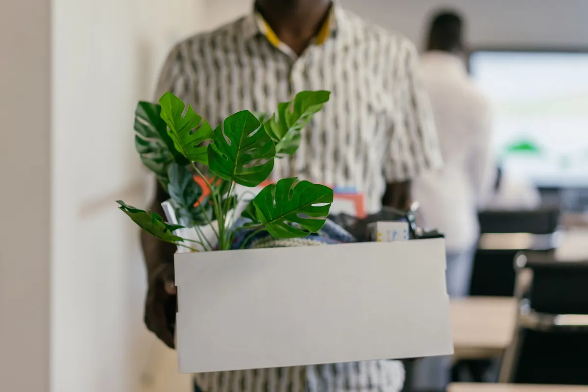 Ein Mitarbeiter trägt einen Karton mit Pflanze durch das Büro