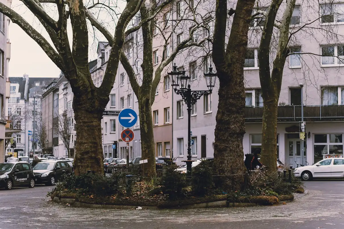Mehrfamilienhäuser und parkende Autos an einer baumbestandenen Wohnstraße